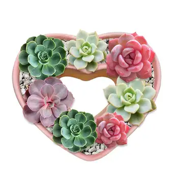 

Heart Shape Muti-meat Plants Flower Pots Silicone Molds Concrete Mould Cement Vase Mould Concrete Pot Molds Home Decoration