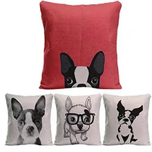 HTB1K9PUQpXXXXaoXpXXq6xXFXXXC