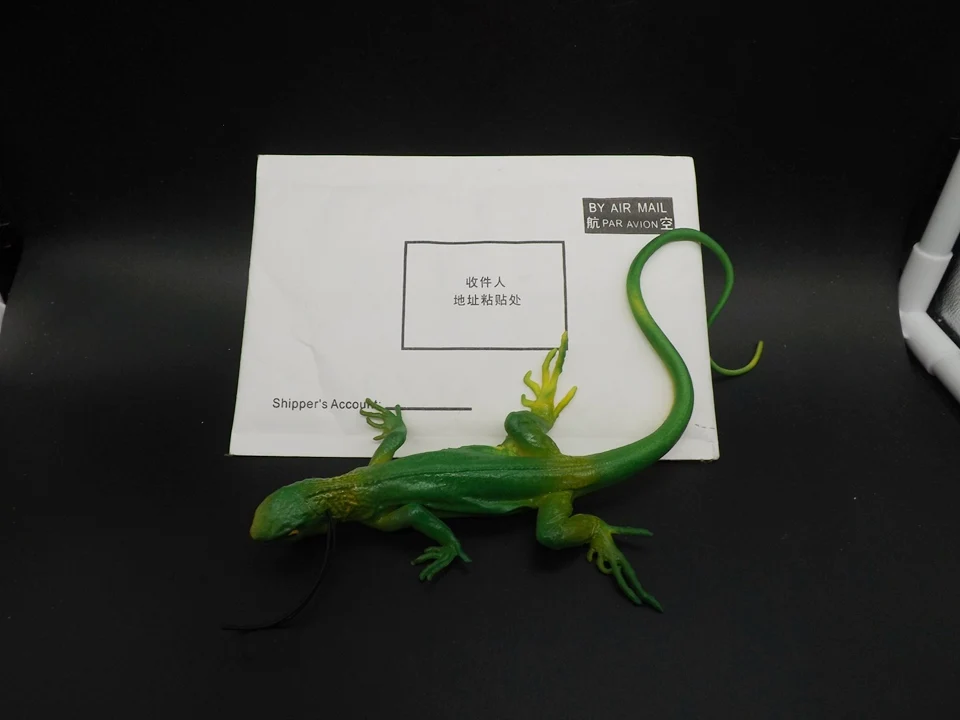J171-Lizard (10)