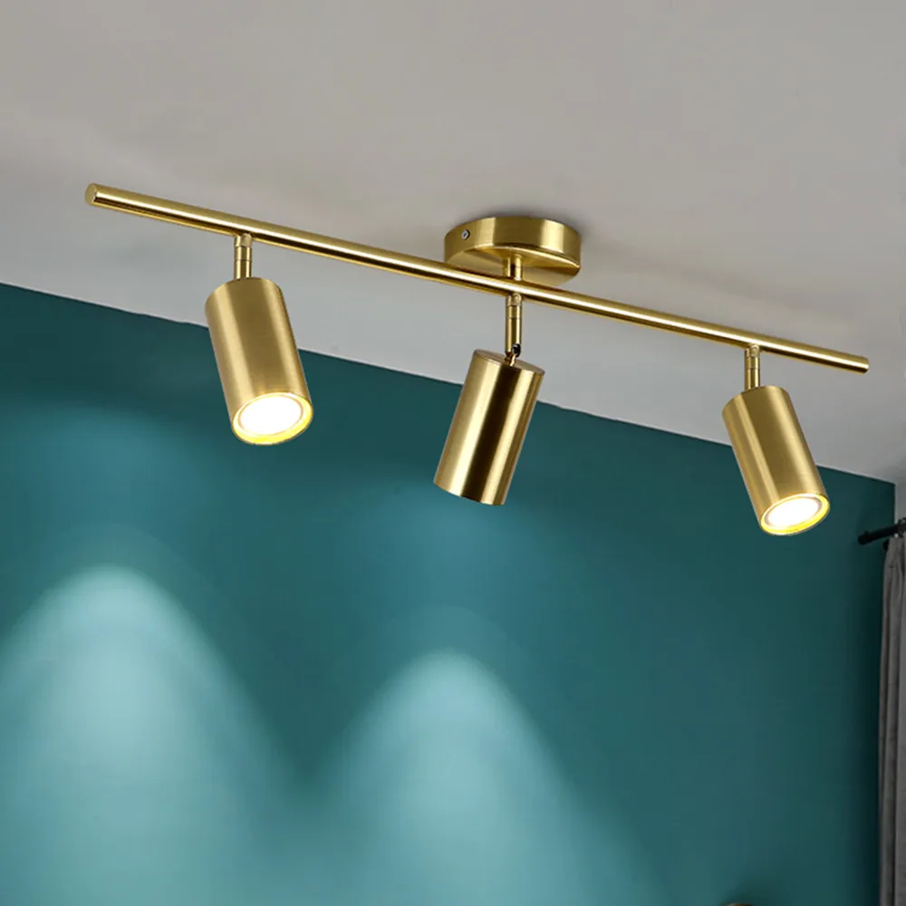 ceiling spotlights  (12)