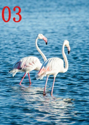 Nordic-Modern-Prints-Leaf-White-Flamingos-Beach-House-Sea-Landscape-Canvas-Painting-Art-Girl-Room-Bedroom (4)