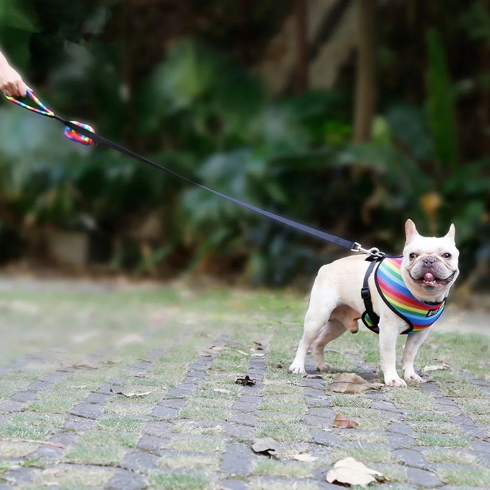 Dog Harness with Leash Set  (4)