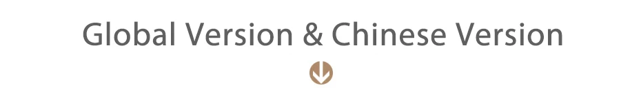 4-Version
