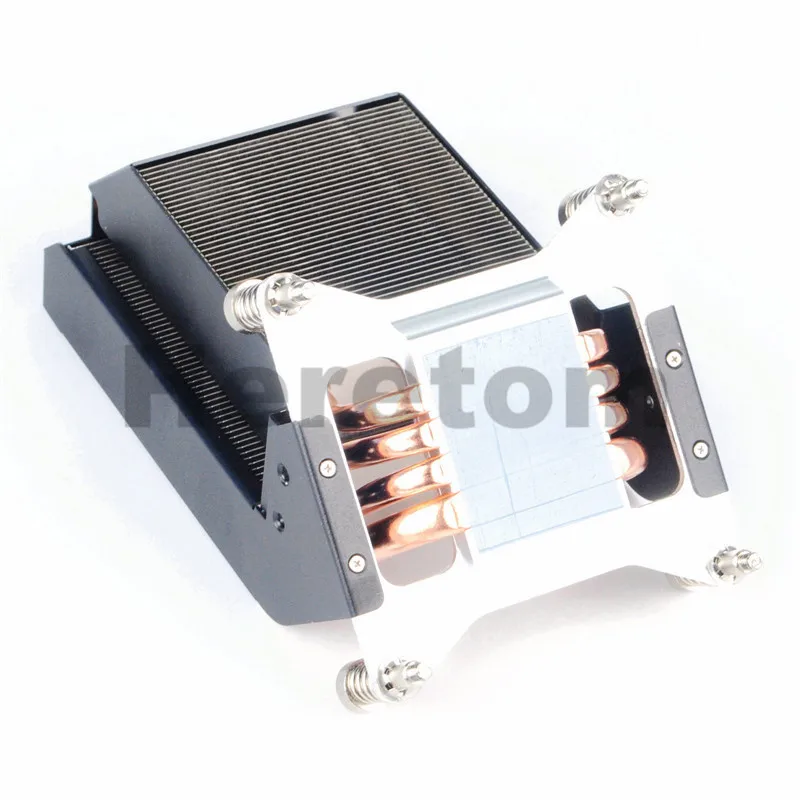 DSC_0533