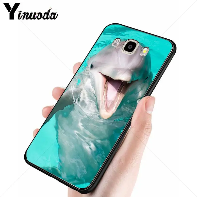 Dance Of Dolphin