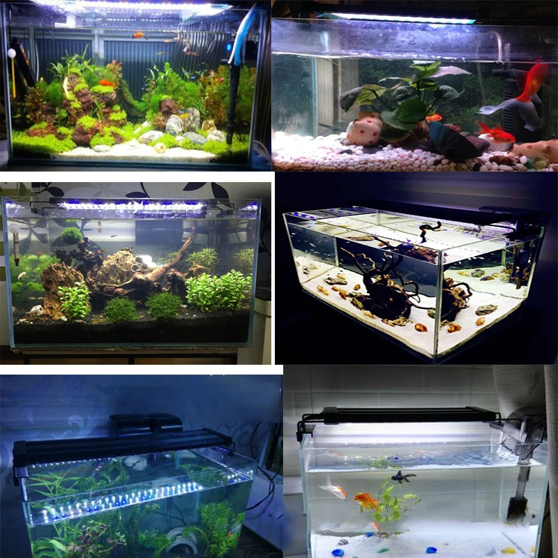 aquarium lights (9)