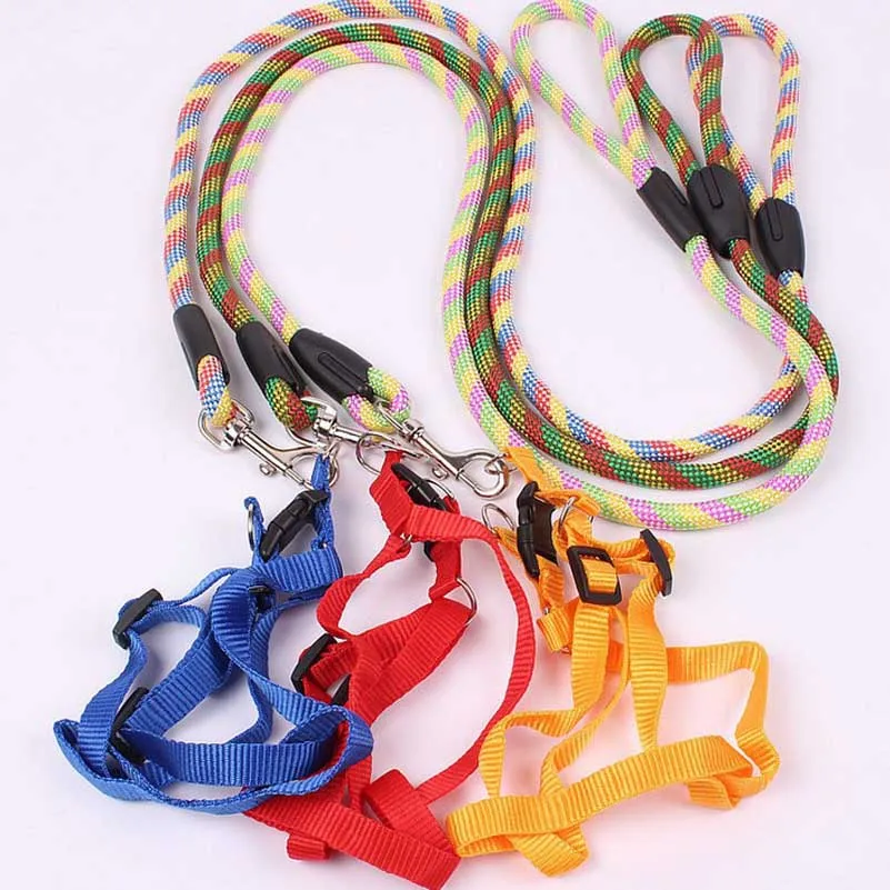 Color pet leashes Nylon leashes Dog rope leash Adjustable pet leash