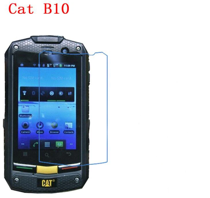 B10