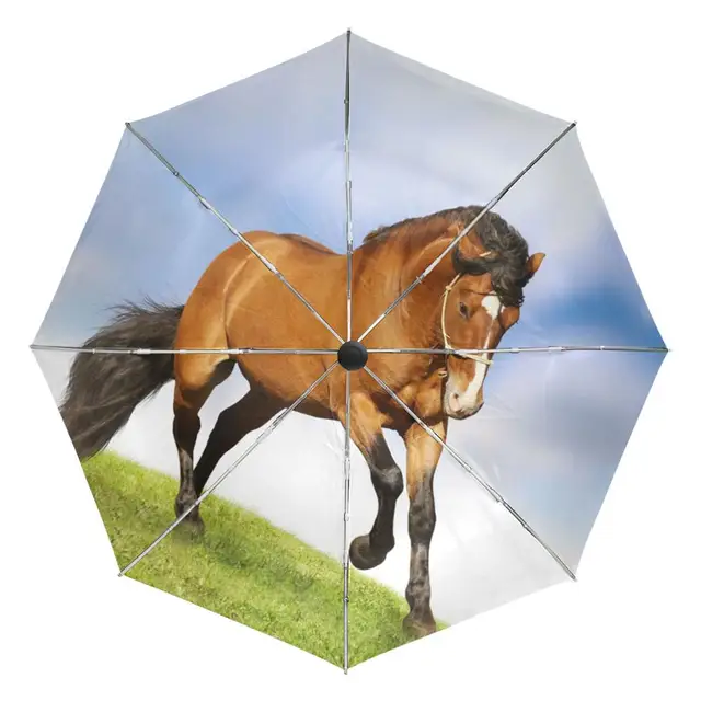 White Horse Running Portable Folding Rain and Sun Beach Umbrellas Hat