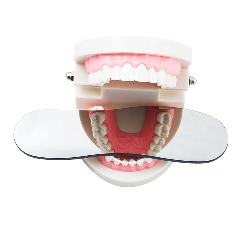 Professional Dental Orthodontic Intraoral Photographic 2sided Rhodium