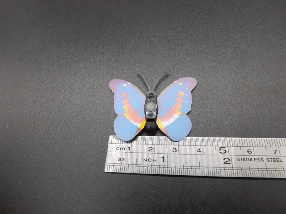 I266-Butterfly (13)