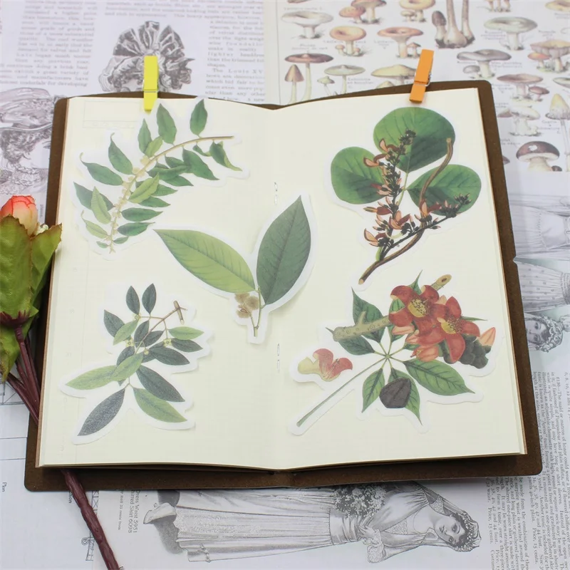 

60pcs Vintage Designs Vellum Stickers for Scrapbooking Happy Planner/Card Making/Journaling Project