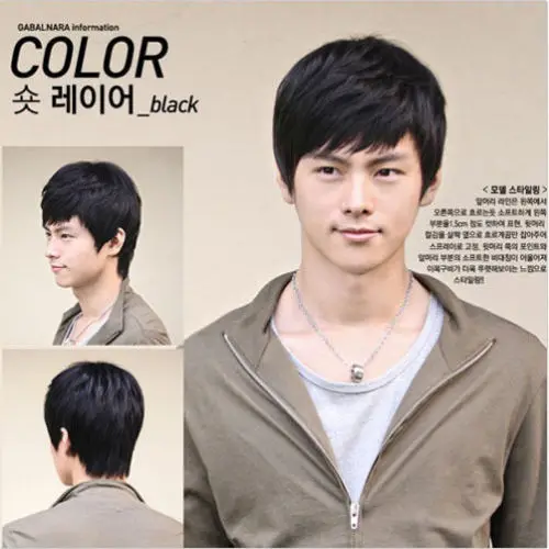 

Short Black or Brown Men Straight Fashion Hair Full Fashion Wig Cosplay Wig