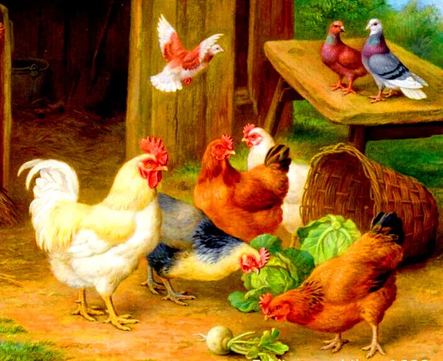 2049 3d Bricolage Diamant Peinture Volailles Poulailler De Poulet Maison Décoration Broderie Artisanat Tissu Point De Croix Diamant Mosaïque Xn37