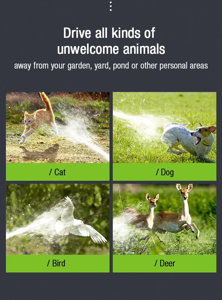 1 (3)