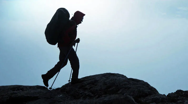2510108766_2018702420
