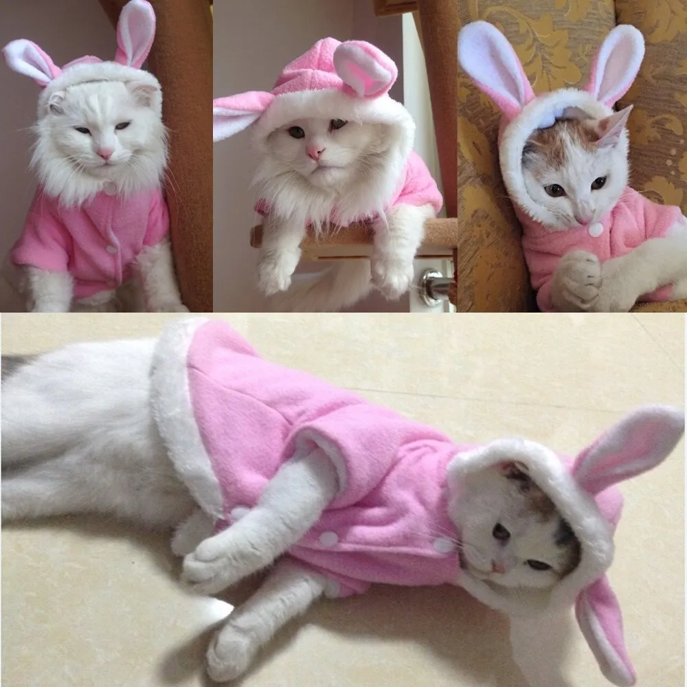 Одежда для домашних животных, котов Mascotas костюм Одежда для домашних животных толстовки милый кролик Кошка Одежда Щенок флис теплая куртка для питомца, кошки наряд 35 A1