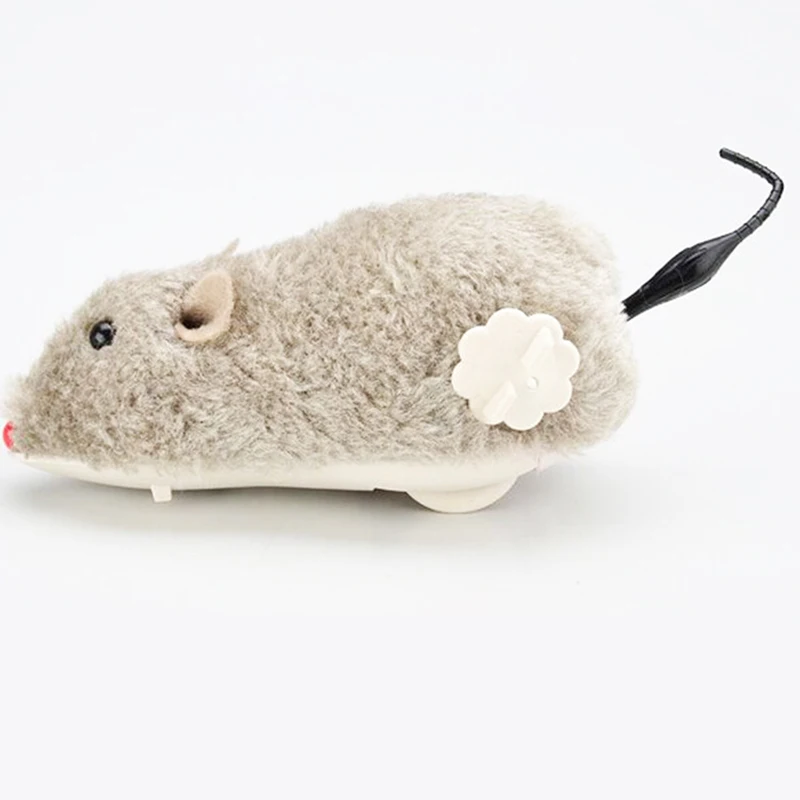 4656671217_1665238694