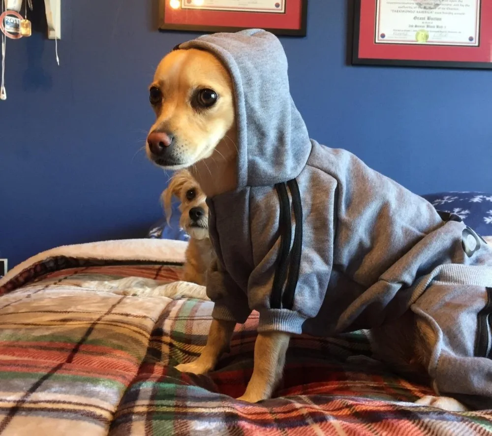 Scheppend Adidog Pet Dog Kleidung Wintermantel Jacket Cat Puppy Hoodie Pullover Baumwolle Kleidung für kleine und mittlere und großen Hunde