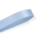 Bluebird 333
