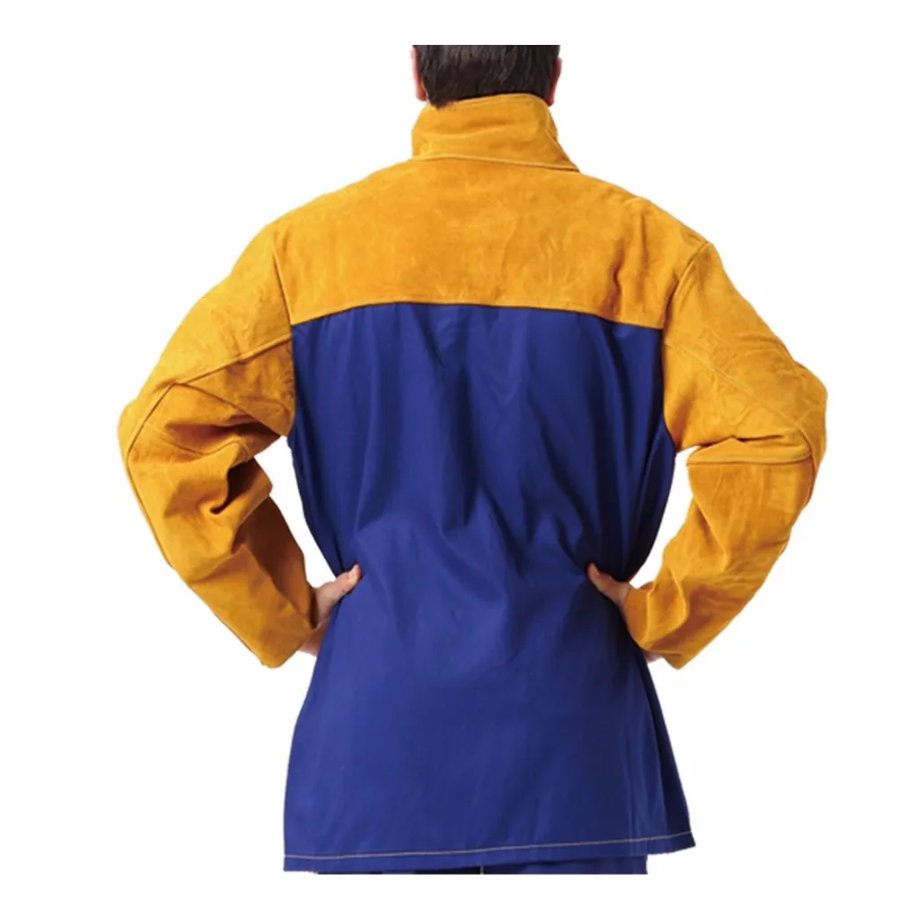 61-Y3K4M1kL._SL1181_