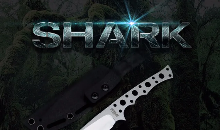 TB2DAzpnpXXXXbWXpXXXXXXXXXX_!!1110761488