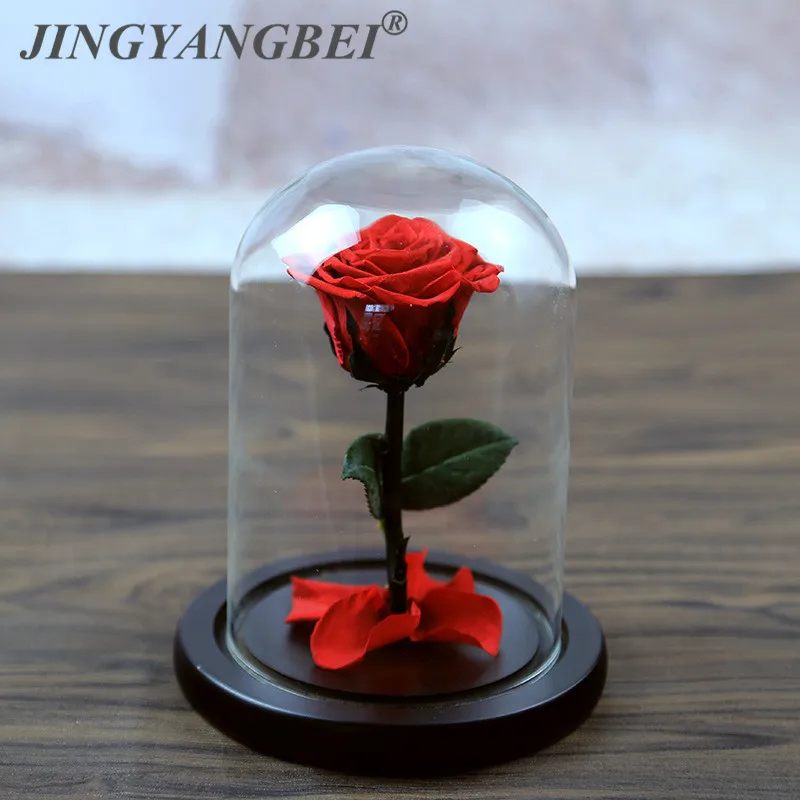 

Glass cover saving roses for valentine's day, birthday gifts, Christmas, wedding gifts wholesale Ecuador eternal rose flower