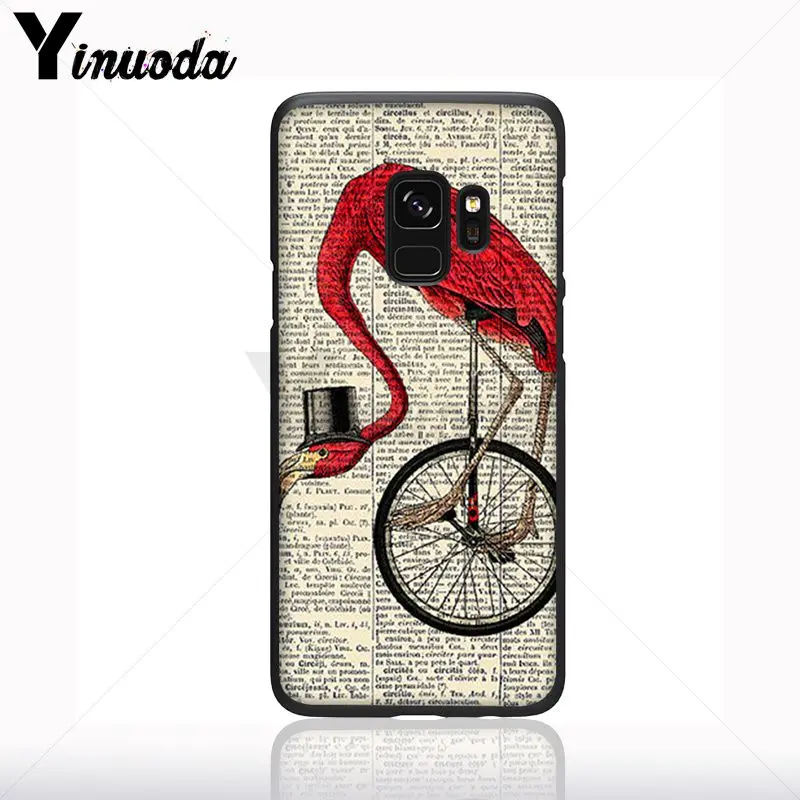 life is liking a ride bicycle bike dog