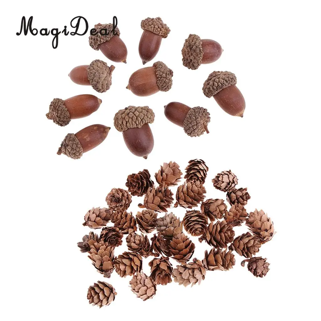 40Pcs Small Natural Pine Cones Acorns In Bulk Dried Flowers Table Ornament for Home Christmas Decoration DIY Craft