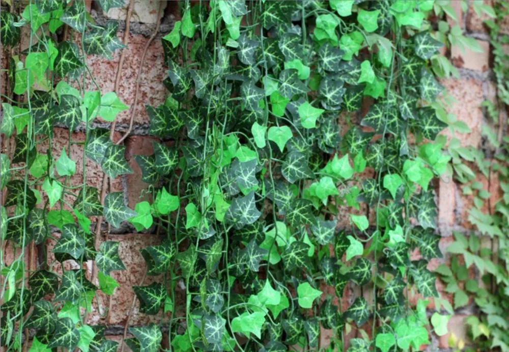 Моделирование ткани зеленое растение листьев винограда, искусственный Шелковый Плющ для дом украшения сада, 100 шт, экспресс