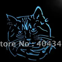 LB987-Pixie Bob Cat Kitty надувные фигурки животных NR световая вывеска