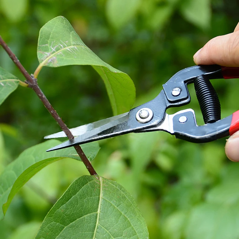 Ножницы для обрезки растений садовый домашний резак ветвь цветка ножницы ручной секатор инструмент