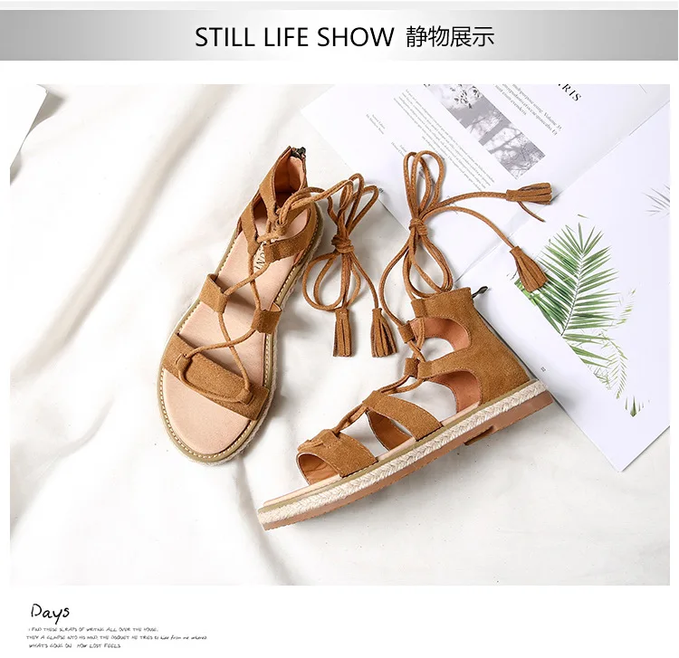 8688007200_688573642