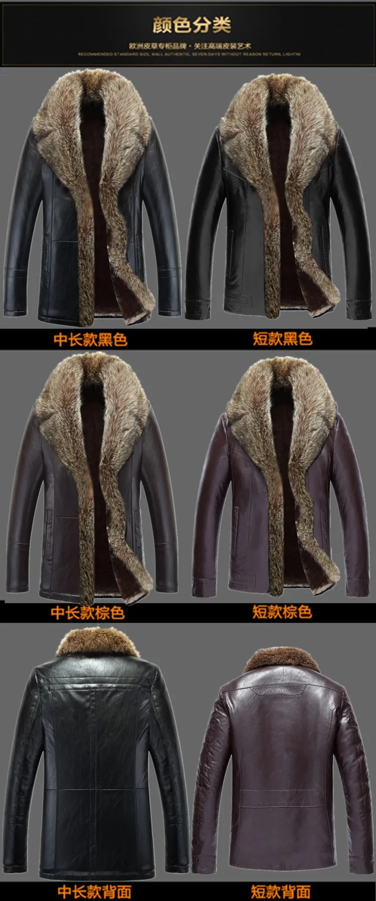 3521293646_412911303