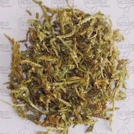 

Herba Lycopodii Qufengchushi getting a vivid For joint pain Herbal tea/ Traditional Chinese green tea 500G Free Shipping tea