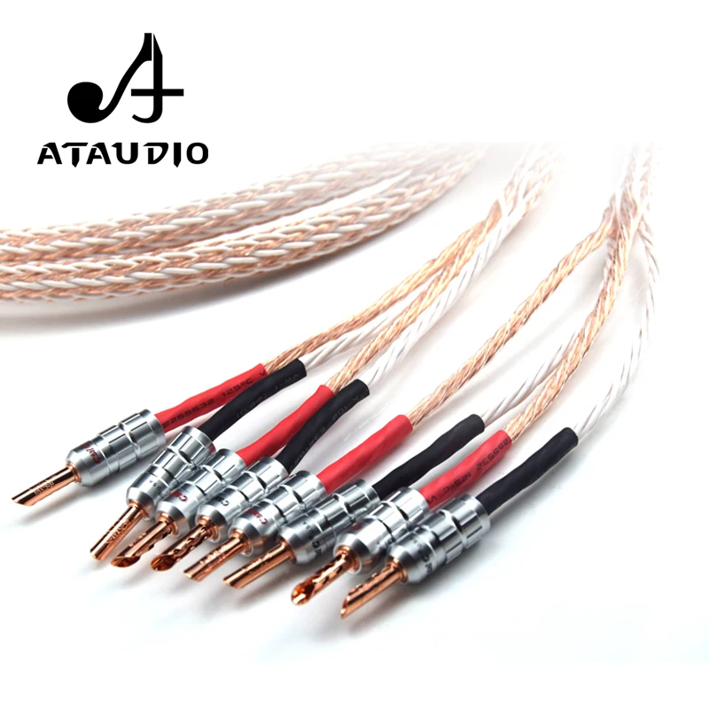 ATAUDIO 12TC Hifi акустический кабель с 2 разъемами типа банан на 4 разъема Hi end OCC провод