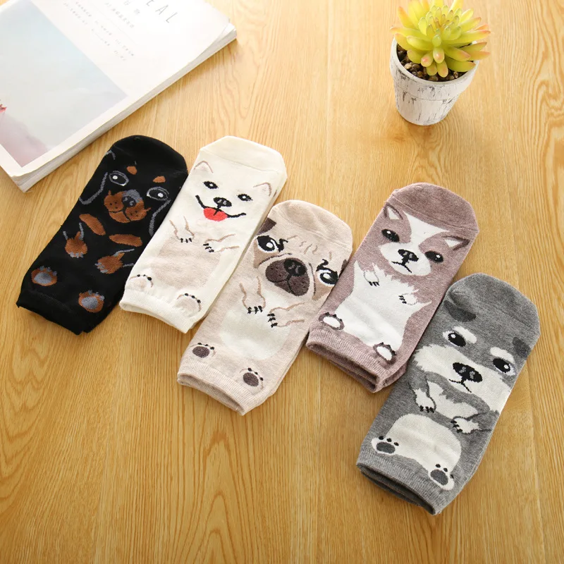 4082830434_650976612