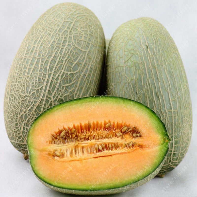Buy 20pcs Cantaloupe seeds,creeping or climbing