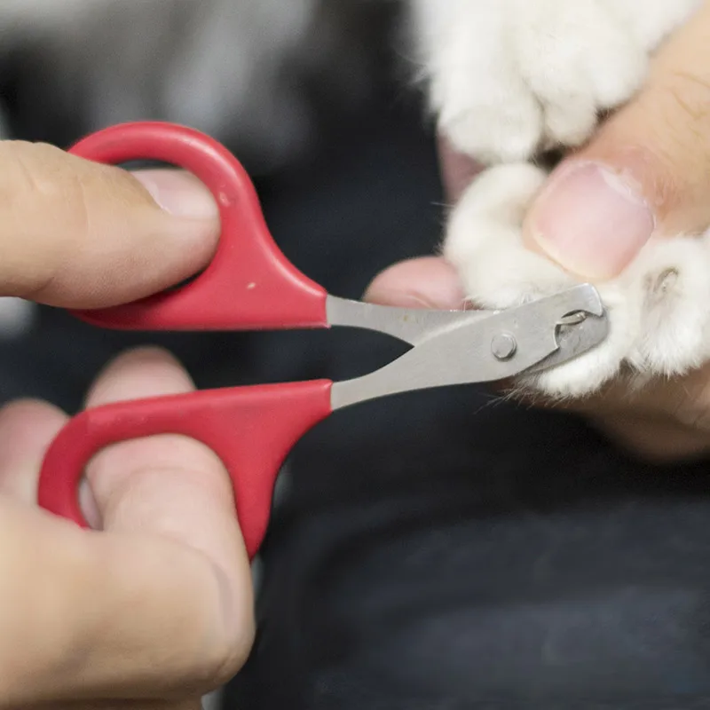 Pet Nail Clippers Small Animals Dog Cat Rabbit Bird Puppy Angled Blades
