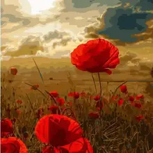 Красная Поппи картина с цветами Подарочная краска по номерам Настенная картина по номерам льняная краска домашнего декора