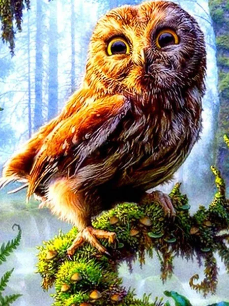HOMFUN-Full-Square-Round-Drill-5D-DIY-Diamond-Painting-Cartoon-animal-owl-3D-Embroidery-Cross-Stitch.jpg_640x640