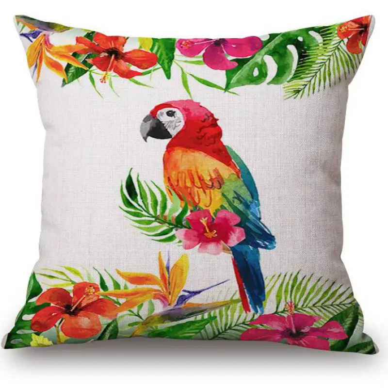 Usine Approvisionnement Direct Plantes Tropicales Hibiscus