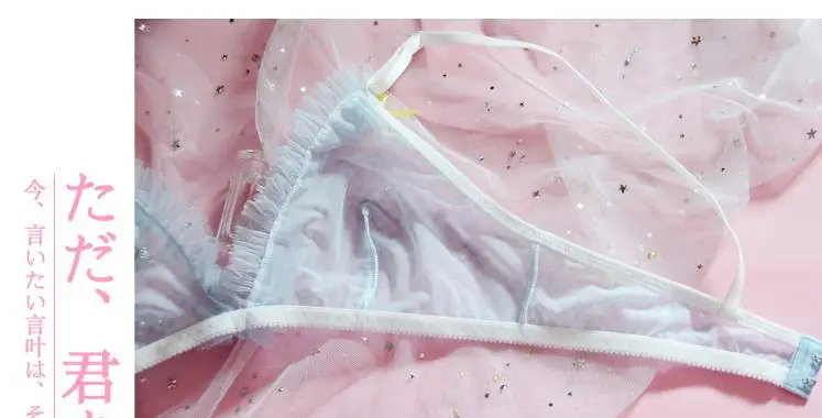 tenu sexy lingerie (16)