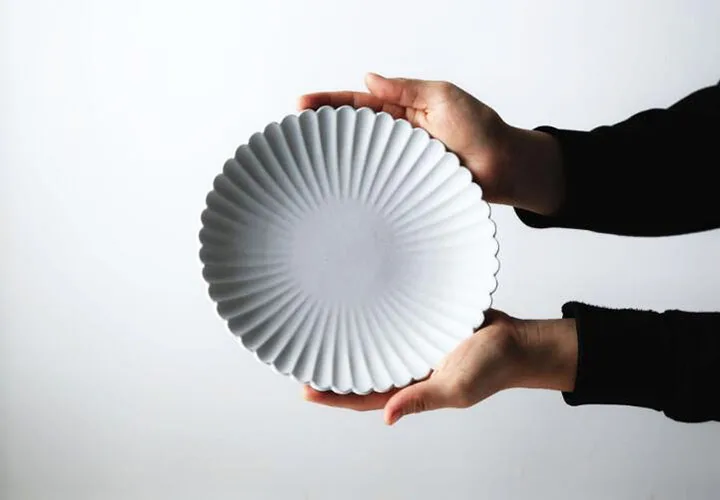 dish9