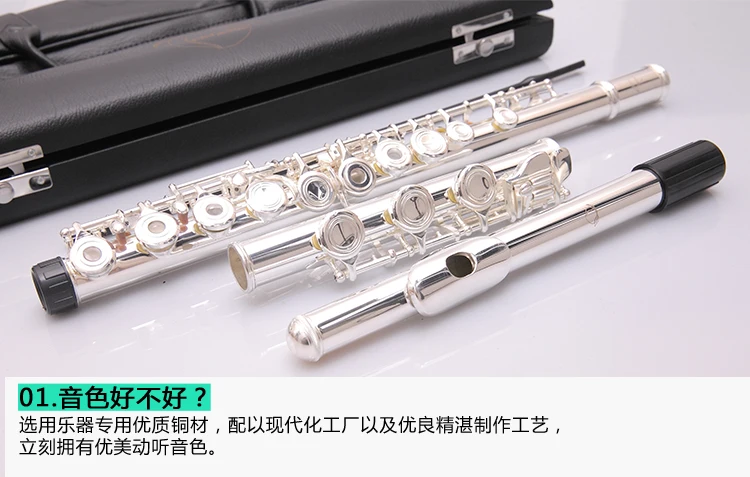 

YingMpeach 17 Holes Open(cloed can use) E Plus Split Flute Silver Plated Copper-Nickel C Key Flute