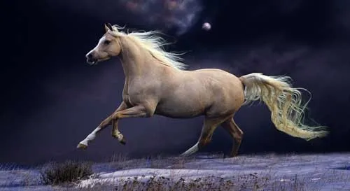 Galloping horse office wall painted fabric poster 43&quotx 24&quot 24 &quotx 13&quot Decor 05 | Дом и сад
