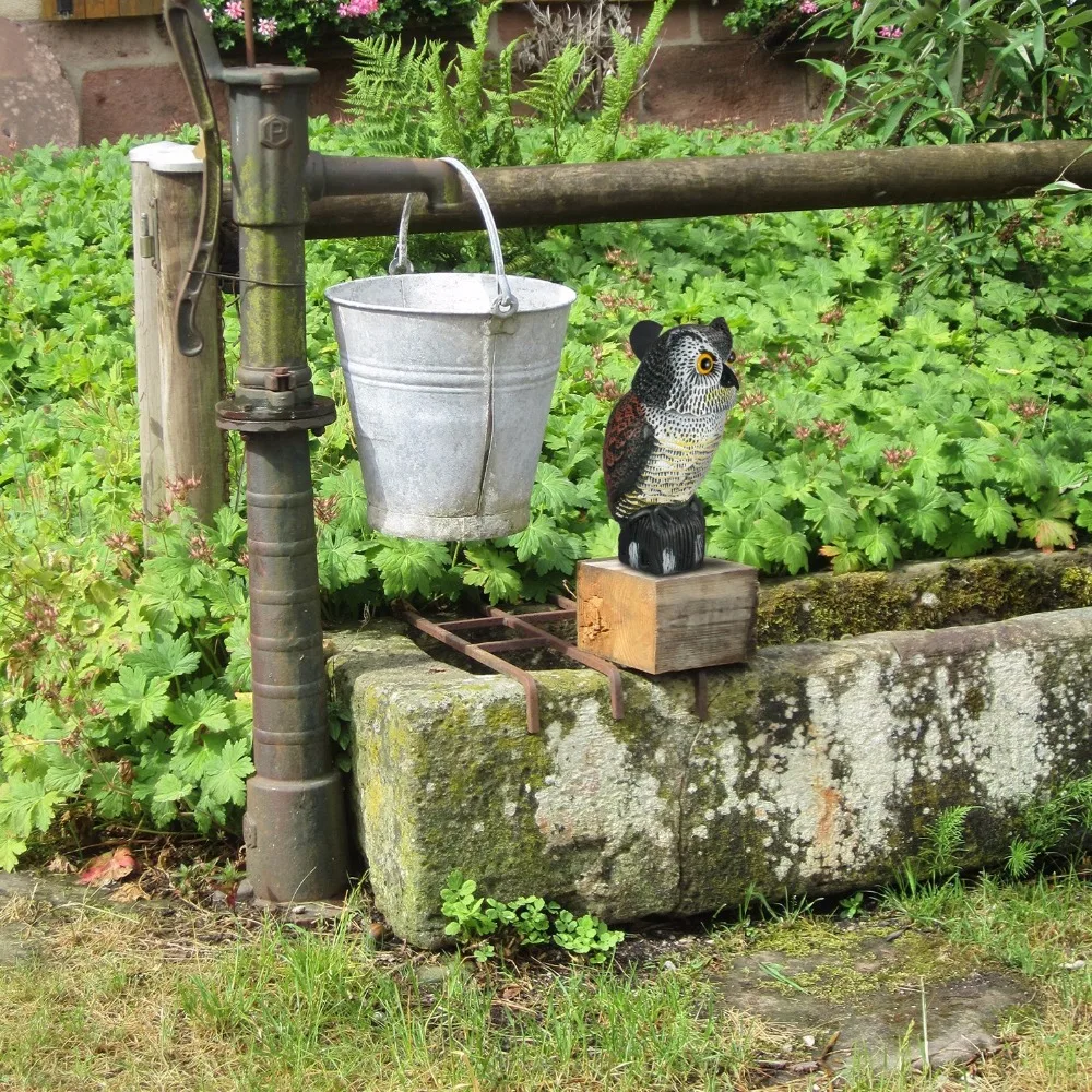 owl decoy (15)