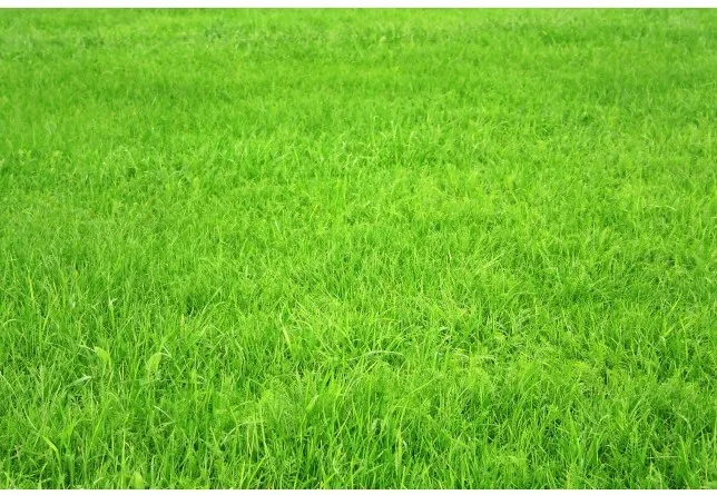 LIFE MAGIC BOX Backgrounds Newborn Props And Background 200Cm*150Cm