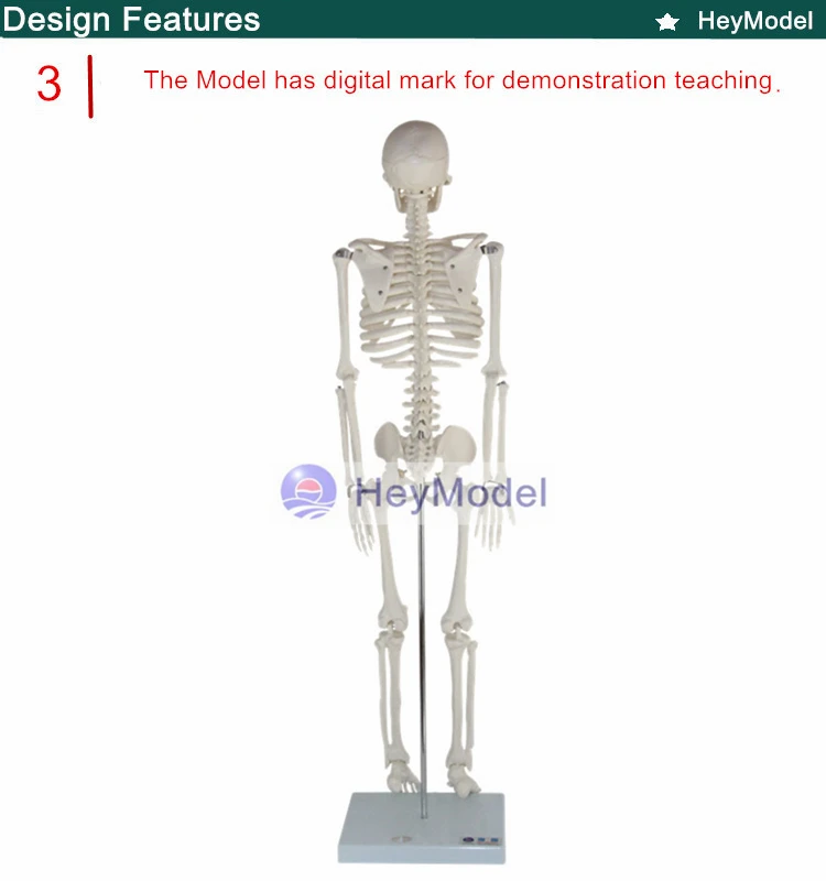 3 _