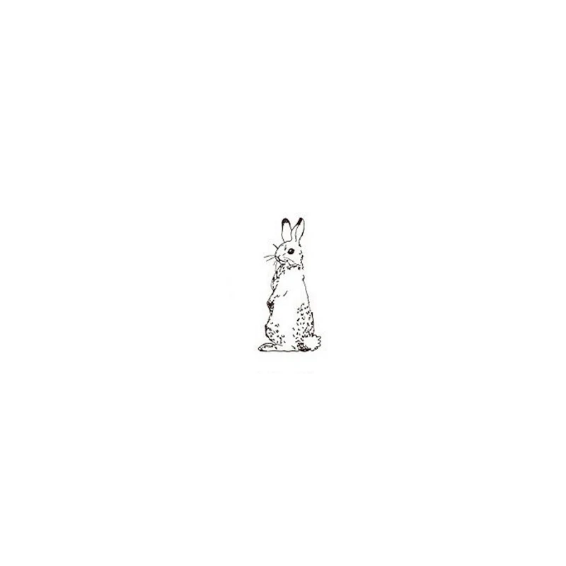 Rabbit 12 шт./лот kawii животное Деревянный резиновый штамп для скрапбукинга бумага украшение для ноутбука печать канцелярские товары - Цвет: Rabbit